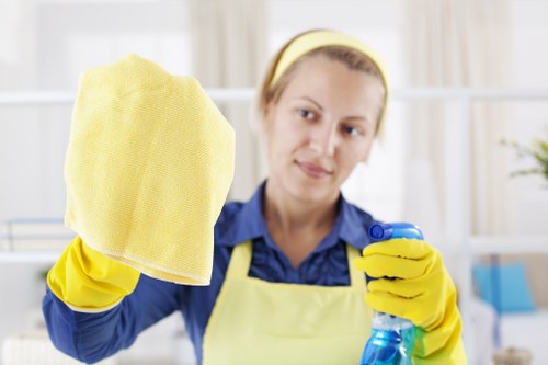 Carpet cleaning service terms and conditions document