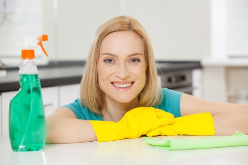 Deep carpet cleaning equipment used in a Sutton property