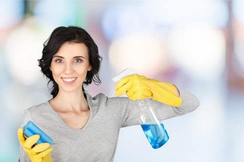 Stain removal service checklist and preparation for Sutton customers